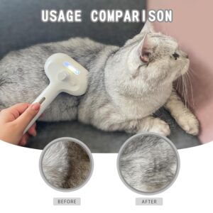 Spray Cat & Dog Brush for Shedding – Pet Hair Removal Comb with Water Tank & Release Button